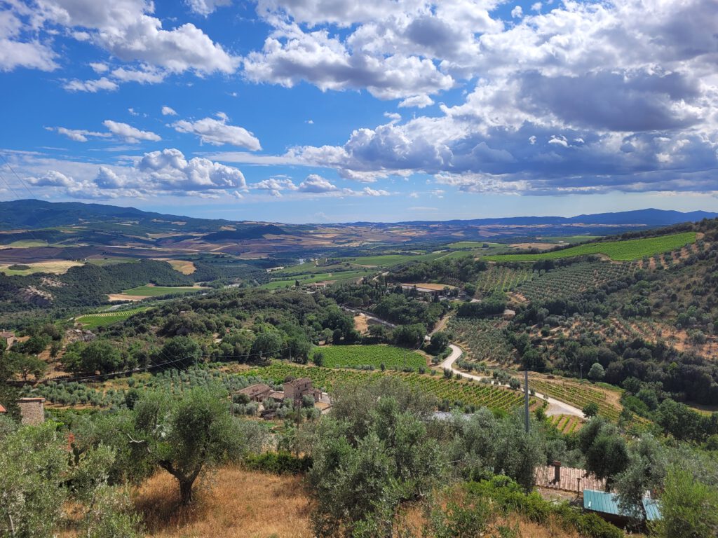 Vanlife in Italien: Blick auf die toskanischen Weinberge in Castelnuovo dell'Abate