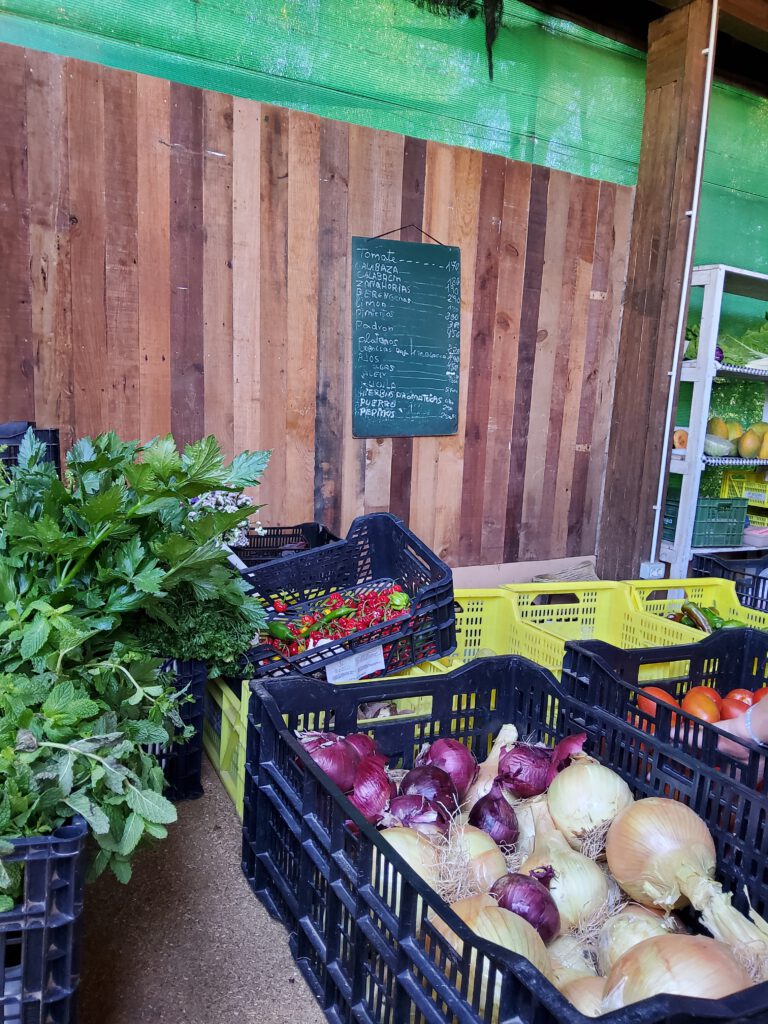 Gemüsestand auf dem Markt im Oasis Wildlife Park