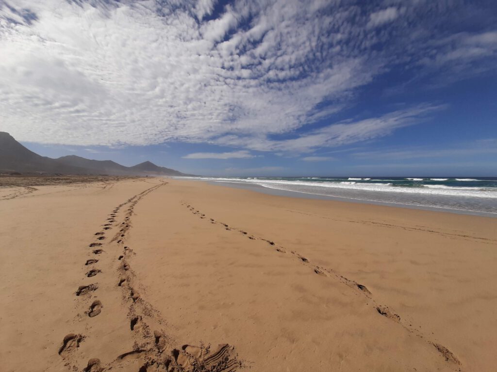 Spuren im Sand am Playa de Cofete
